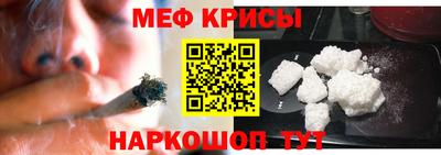 стафф Гатчина