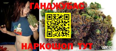 стафф Гатчина