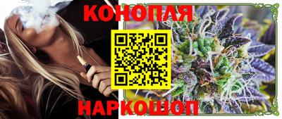 стафф Гатчина