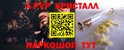 стафф Гатчина