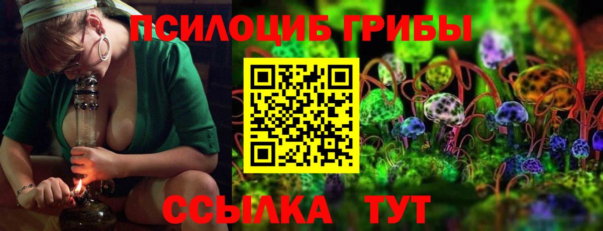 Псилоцибиновые грибы Magic Shrooms  Вход с VPN  Новоалександровск  Псилоцибиновые грибы MAGIC MUSHROOMS 