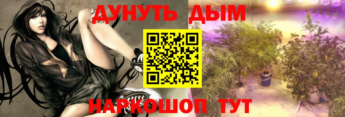 Шишки марихуана Ganja Новоалександровск